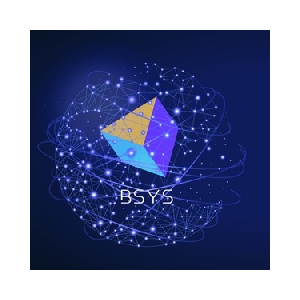 BSYS