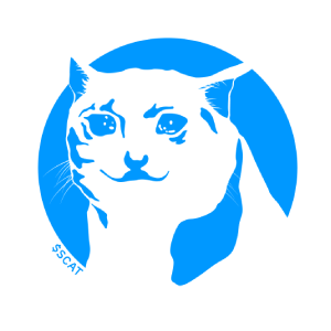 Sad Cat Token